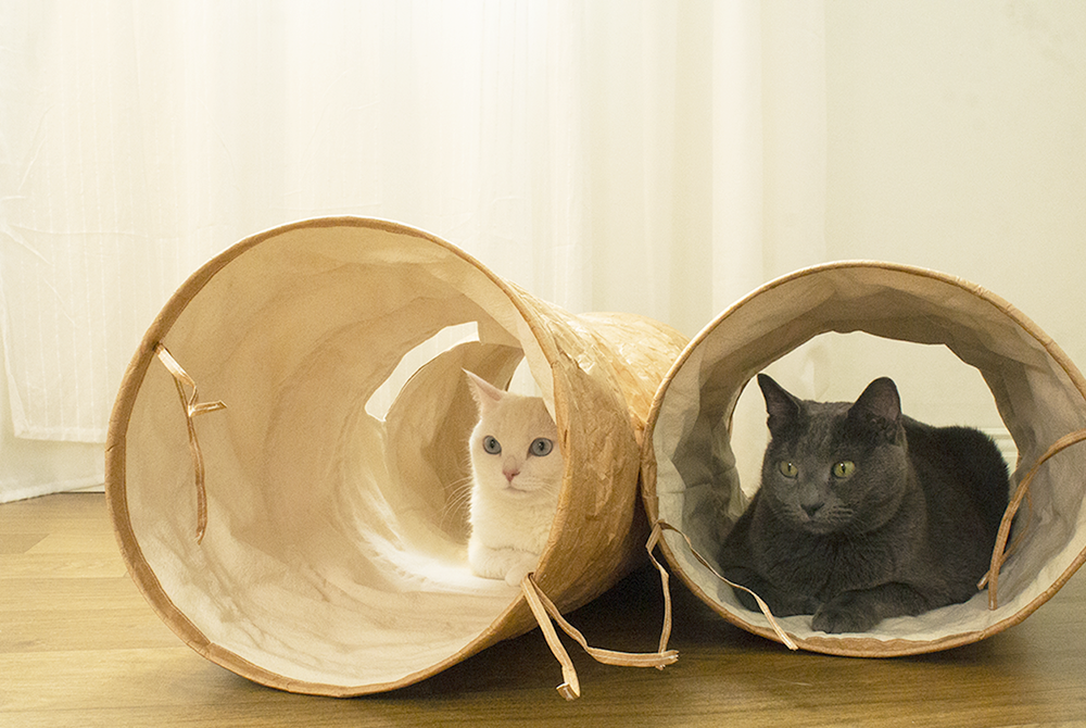 TYVEK CAT TUNNEL