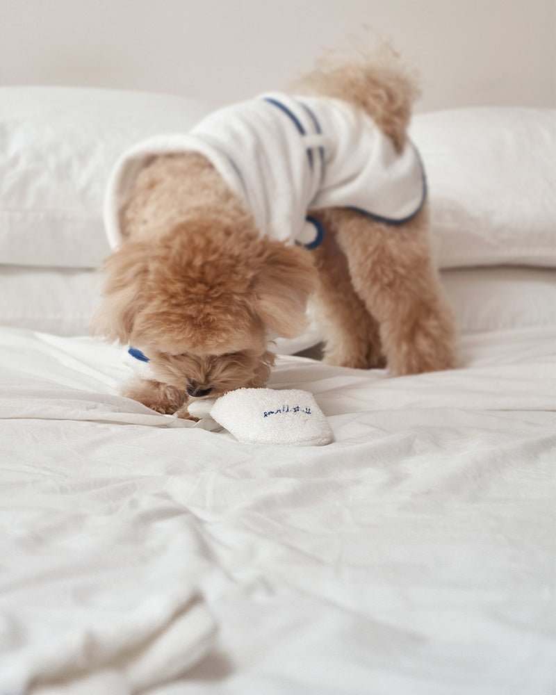 Slipper Toy