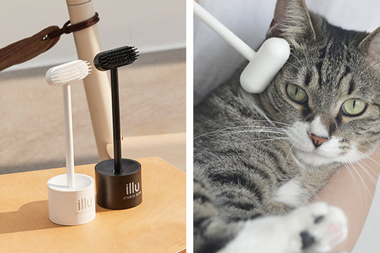 Illu Cat Brush