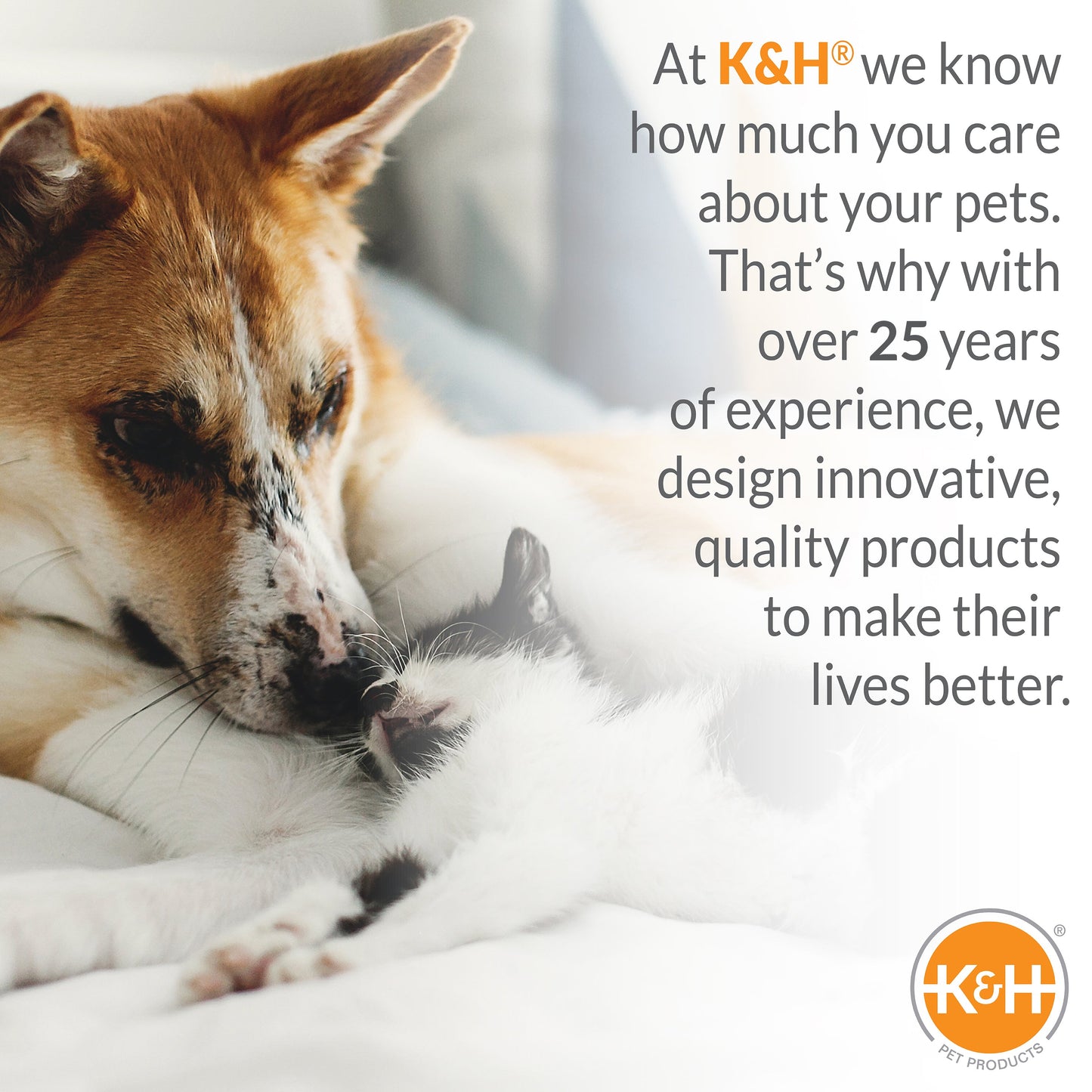 K&H Travel Safety Carrier