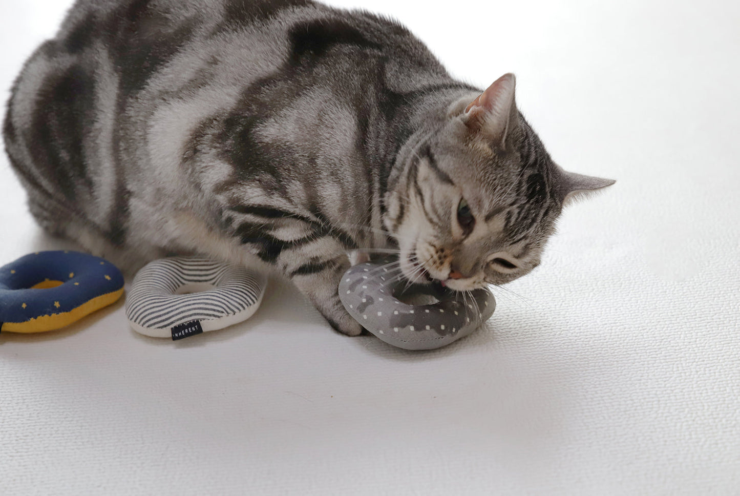 CatNut Toys