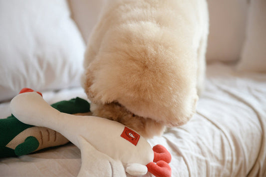 Flying Duck Nosework Toy