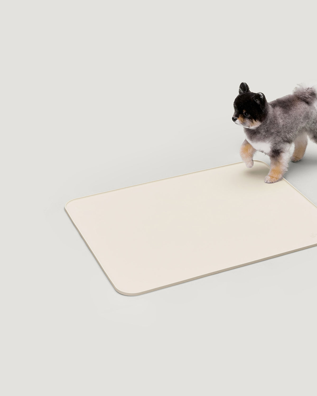 Silicon Pee Pad holder