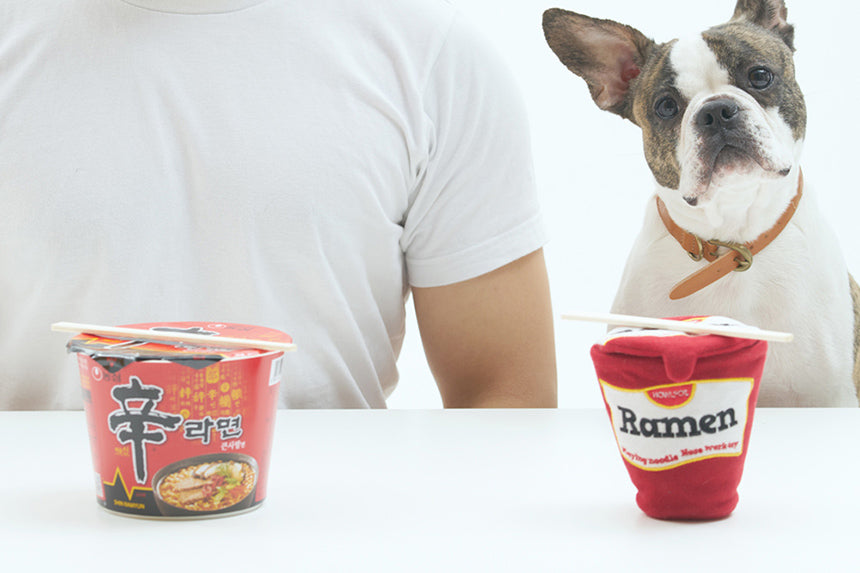RAMEN NOSE WORK TOY