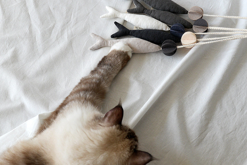 Fish and Chews . Ivory