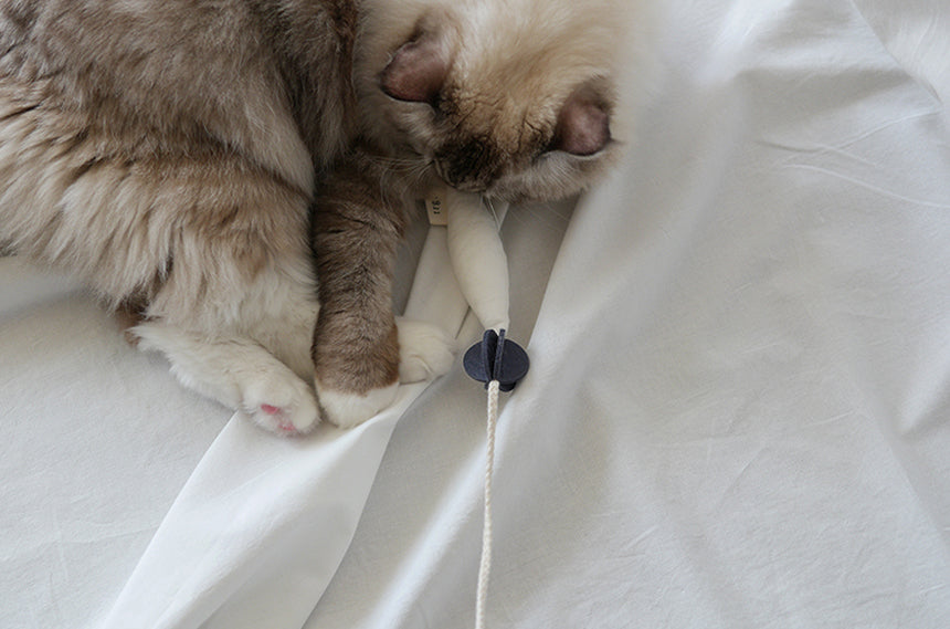 Fish and Chews . Ivory